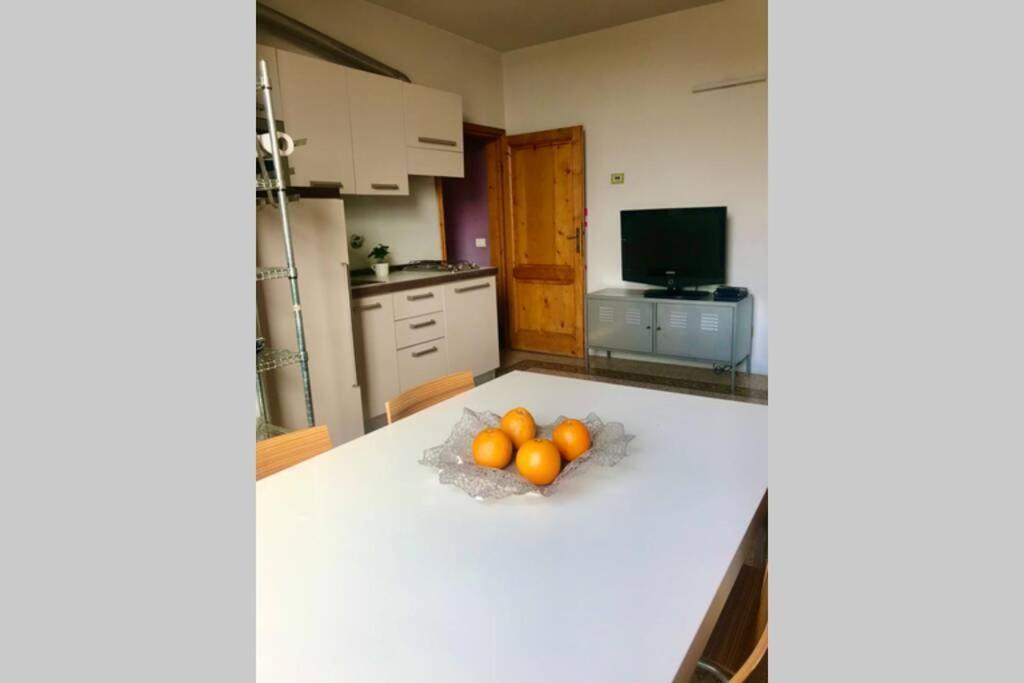 Sunny Top Floor In San Frediano 佛罗伦萨 外观 照片