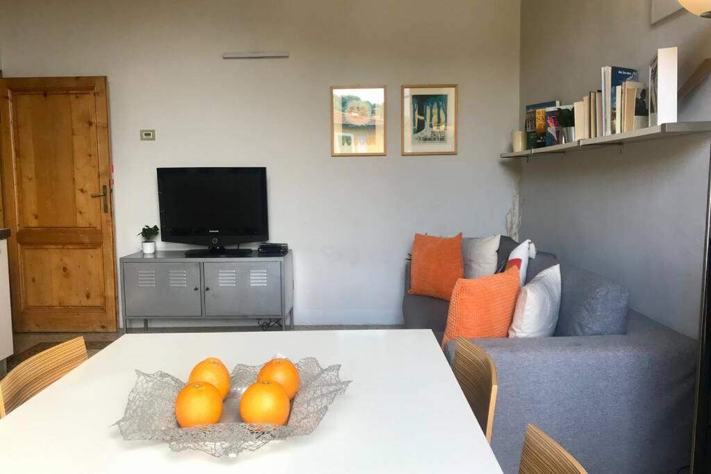 Sunny Top Floor In San Frediano 佛罗伦萨 外观 照片